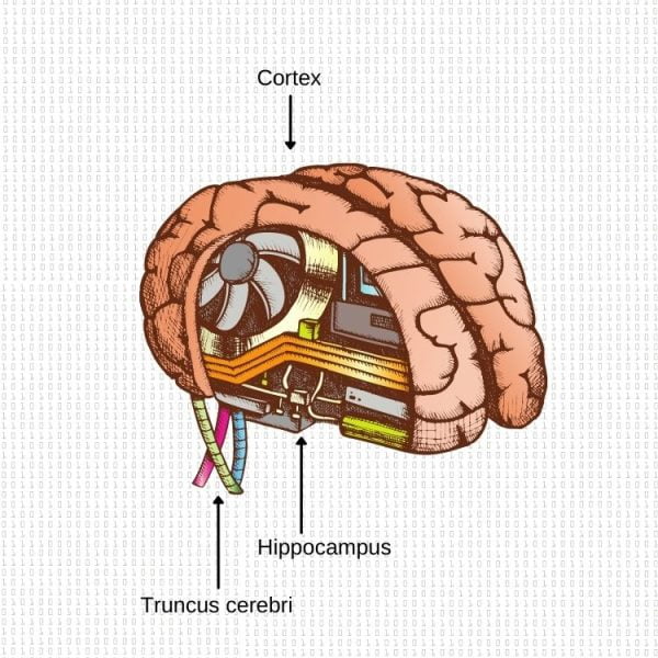 Gehirn mit Computerbestandteilen
